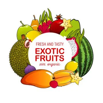 Mango, fig, lychee, watermelon. Fruit food icon Stock Illustration
