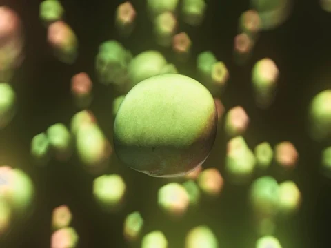 Mango Floating Against Vibrant Bokeh Background Stock Footage 72299636