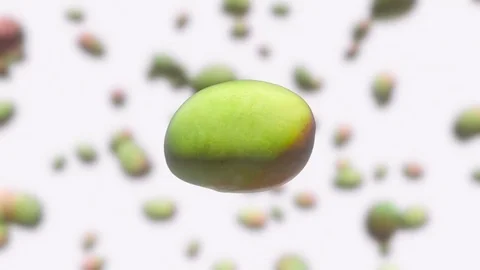 Mango Floating on an Out of Focus White Background 库存影片 72299637