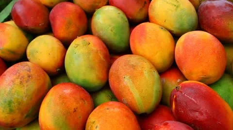 Mango Stock Footage 22017158