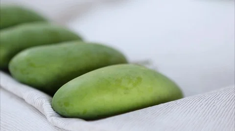 Mango Stock Footage 96280435