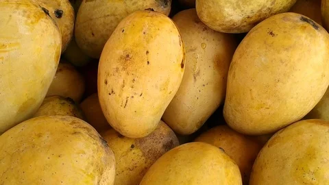 Mango Stock Footage 110854718