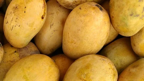 Mango Stock Footage 110854947