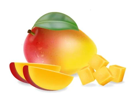 Mango fruit and slices isolated Vector realistic. Detailed elements design. 3 Stock Illustration