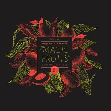 Mango fruit banner template. Hand drawn vector fruit illustration on dark Stock Illustration