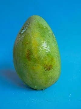 Mango fruit with blue background Stock Photos