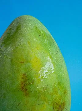 Mango fruit with blue background Stock Photos