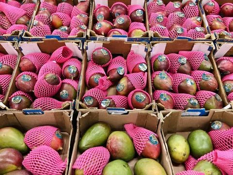 Mango fruit in bright packaging Stock Photos