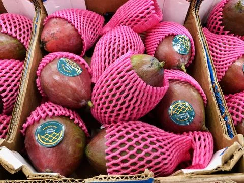 Mango fruit in bright packaging Foto stock