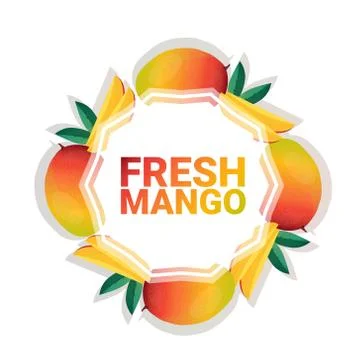Mango fruit colorful circle copy space organic over white pattern background 스톡 일러스트