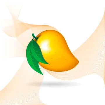 Mango fruit contour abstract orange flairs on white background Illustrazione stock