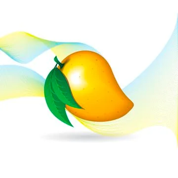 Mango fruit contour abstract on white background with flairs Stock Illustration