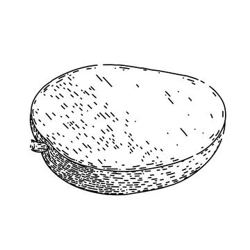 Mango fruit cut sketch hand drawn vector 스톡 일러스트