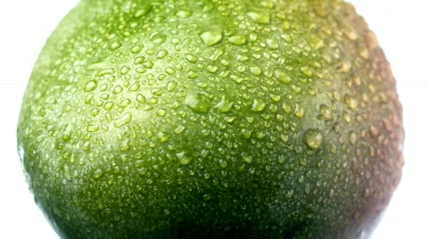 Mango fruit with dew 2 Stock Footage 640706