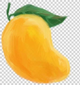 Mango Fruit digital hand organic oil painting brush texture illustration Illustrazione stock