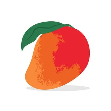Mango fruit in flat style isolated on white background. Cartoon mango Stock Illustration