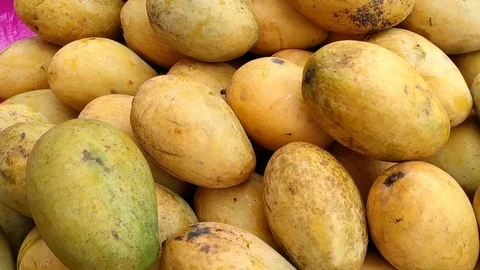 Mango fruit 動画素材 110854356