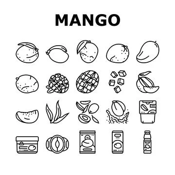 Mango fruit fresh leaf yellow icons set vector Stock Illustration
