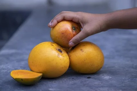 Mango fruit in hand on the table. Selective focus Stock Photos