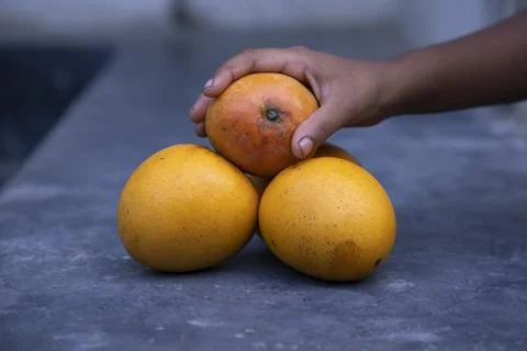 Mango fruit in hand on the table. Selective focus Stock Photos