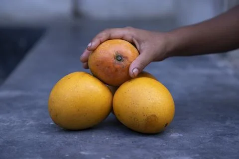 Mango fruit in hand on the table. Selective focus Stock Photos