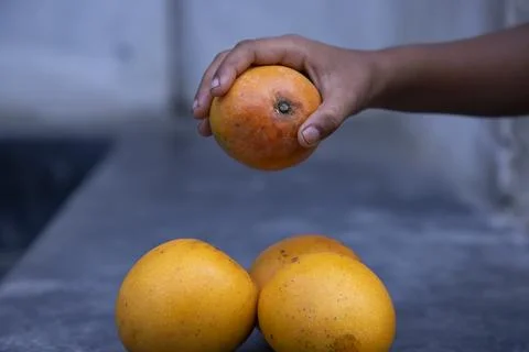 Mango fruit in hand on the table. Selective focus Stock Photos