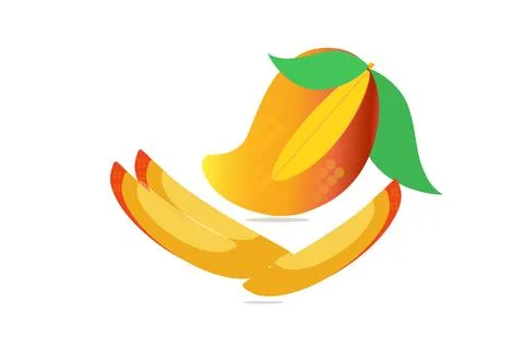 Mango Fruit Illustration – Fresh Tropical Mango with Slices, Stock Illustration