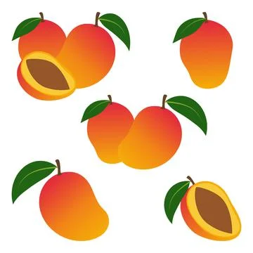 Mango fruit illustrations showing whole and half slices Stock Illustration