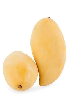 Mango fruit isolated on white background . Stock Photos