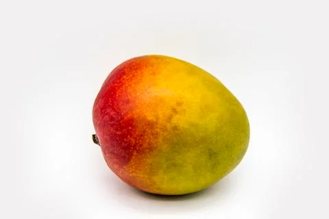 Mango fruit isolated on white background. One ripe mango fruit isolated. Heal Stock Photos