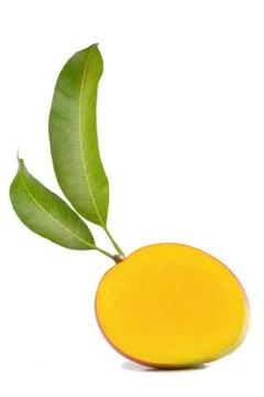 Mango fruit isolated on white background Stock Photos
