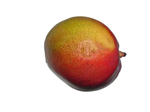 Mango fruit isolated on white background Фото