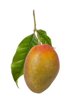 Mango fruit isolated on white background with clipping path and full depth .. Stock-Fotos