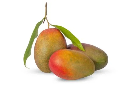 Mango fruit isolated on white background with clipping path and full depth .. Stock Photos