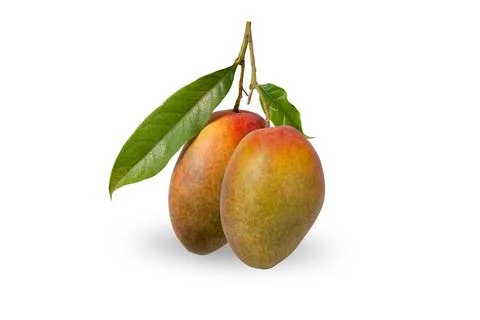 Mango fruit isolated on white background with clipping path and full depth .. Stock Photos