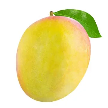 Mango fruit with leaf isolated on white Stock Photos