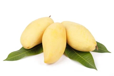 Mango fruit with leaf white background Stock Photos
