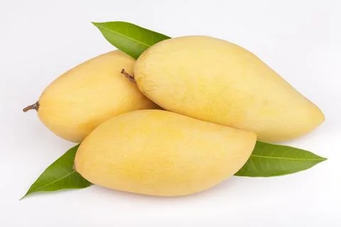 Mango fruit with leaf white background Stock Photos