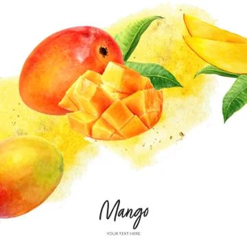 Mango fruit with leaves diagonal border composition watercolor hand drawn Stock Illustration