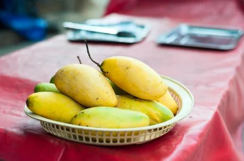 Mango fruit in nature with soft light Stock Photos