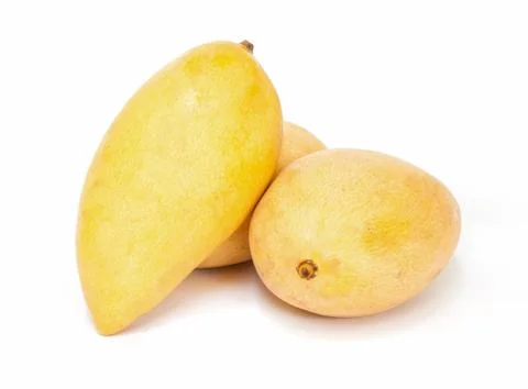 Mango fruit. Stock Photos