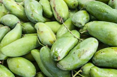 Mango fruit Stock Photos