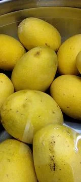 Mango fruit. Foto stock