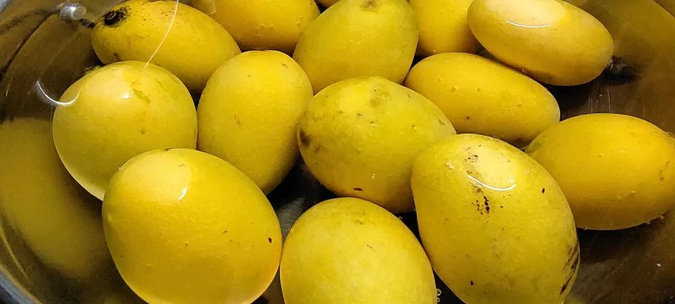 Mango fruit. Stock Photos