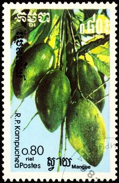 Mango fruit on postage stamp Stock Photos