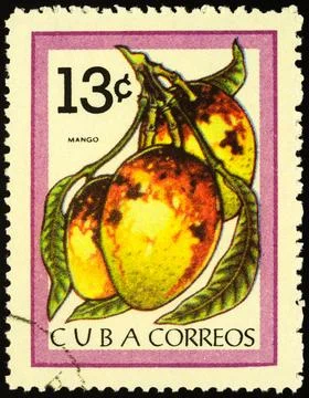 Mango fruit on postage stamp Stock Photos