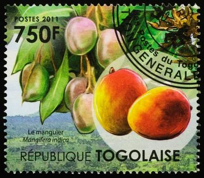 Mango fruit on postage stamp Foto stock
