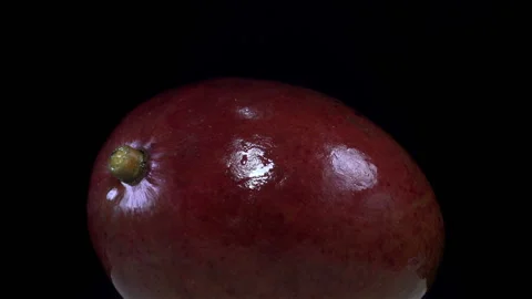 Mango fruit rotates Stock Footage 151112388