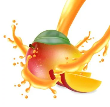 Mango fruit sliced with juice splash Vector realistic. Detailed elements desi 스톡 일러스트