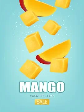 Mango fruit sliced Vector realistic. Detailed elements design. 3d illustratio Stock Illustration